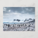 Recherche de climat polaire cartes postales Paysage