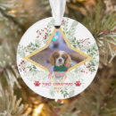 Recherche de pet ornements Dogs