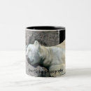 Recherche de ours blancs tasses Photographie