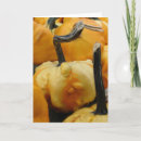 Zoek naar mini pompoen kaarten Pompoenen