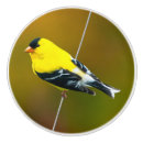Recherche de doré boutons et poignées de porte Jaune