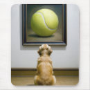 Recherche de balles tennis tapis souris Amusant