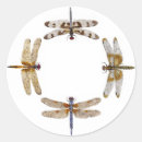 Recherche de ailes de libellule autocollants Insecte