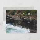 Zoek naar peacock feather briefkaarten Tropisch