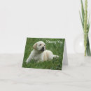Recherche de chips vœux cartes Dog