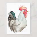 Recherche de aquarelle cartes postales Coq