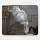 Recherche de angora tapis souris Fourrure