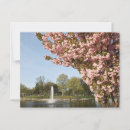 Recherche de fleurs de cerisier cartes postales Sakura