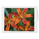 Recherche de mûre vœux cartes Jardin
