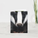 Recherche de blaireaux vœux cartes Animaux