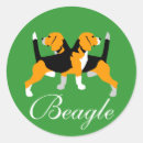 Recherche de beagle autocollants Chien