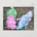 Recherche de silkie cartes postales Bleu