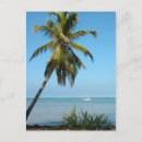 Recherche de punta cartes postales Palme