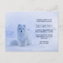 Recherche de arctique cartes postales Faune
