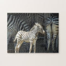Zoek naar zebras puzzels Dierentuin