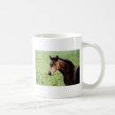 Recherche de cheval arabe tasses Équestre