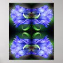 Recherche de fleurs bleues art Nature