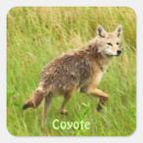 Recherche de animaux de prairie autocollants Nature