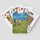 Zoek naar olifanten speelkaarten Afrikaanse olifant