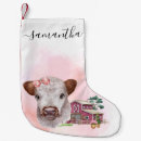 Recherche de vaches chaussette de noël Veau