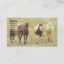 Recherche de poney cartes visite Palomino
