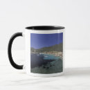 Recherche de baleares tasses Île