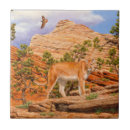 Recherche de cougar carreaux Nature