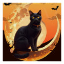 Recherche de chat halloween posters Citrouille