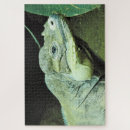 Recherche de rhinoceros puzzles Faune