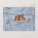 Recherche de jeans denim cartes postales Animal