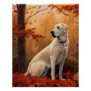 Zoek naar anatolische herder posters Hond