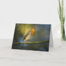 Zoek naar emily dickinson kaarten Hoop