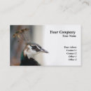 Recherche de paon cartes visite Beauté