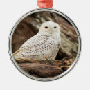 Recherche de hibou fait sur commande ornements Pour tous
