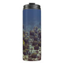 Recherche de fond marin tasses Mer