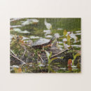 Recherche de amphibien puzzles Tortue
