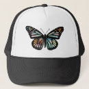 Recherche de papillons casquettes Insectes