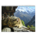 Recherche de minou de minou bureau fournitures Animaux