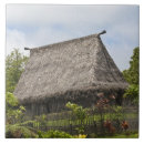 Recherche de polynésien carreaux Île