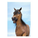Recherche de le cavalier bleu posters Cheval
