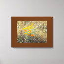 Recherche de coquelicots art Vert
