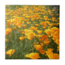 Zoek naar poppies tegels Planten