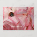Zoek naar ladybird briefkaarten Plant