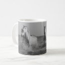 Recherche de cheval noir Eau