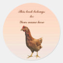 Recherche de rouge de rhode island Poules