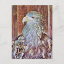 Recherche de aigle de mer cartes postales Pour tous