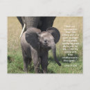 Recherche de encouragement chrétien cartes postales Bible