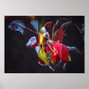 Recherche de joute posters Cheval
