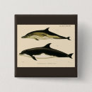 Recherche de animaux marins badges Aquatique