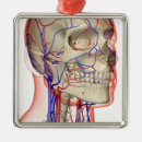 Recherche de corps humain ornements Les gens